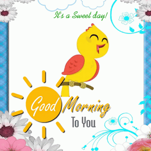 Good Morning Have A Nice Day GIF