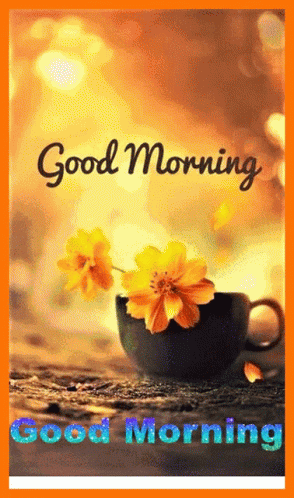 Good Morning Have A Wonderful Day GIF
