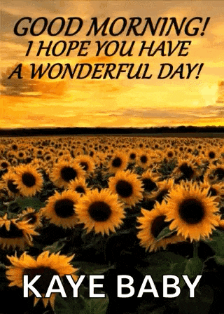 Good Morning Have A Wonderful Day GIF