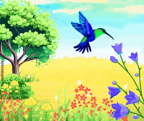 Good Morning Hummingbird GIF