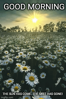 Good Morning GIF