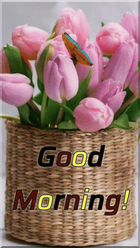 Good Morning Images GIF