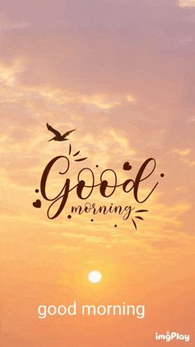 Good Morning Images Good Morning Love Meme