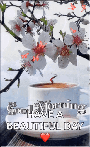 Good Morning Images GIF
