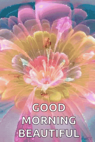 Good Morning GIF