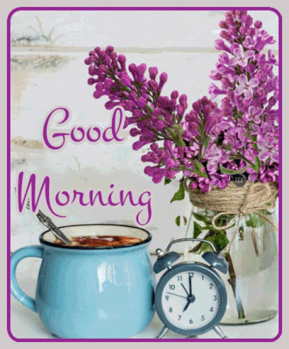 Good Morning GIF