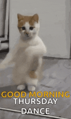 Good Morning GIF