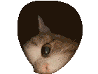 Good Morning Sticker
