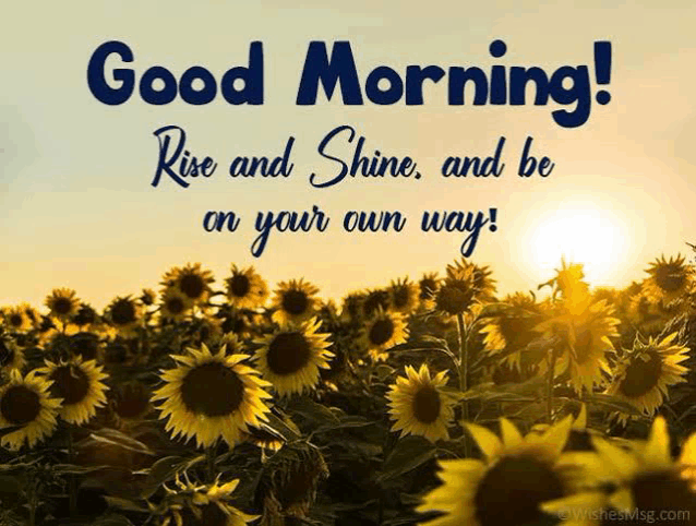 Good Morning Meme
