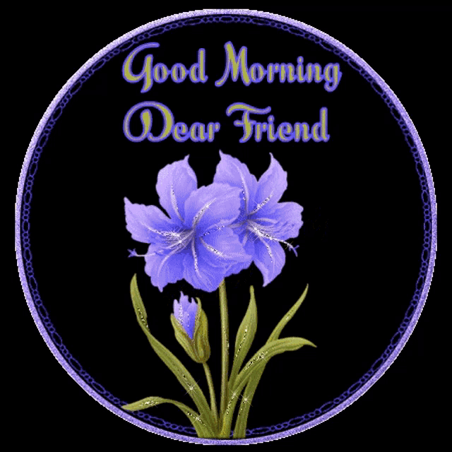Good Morning GIF