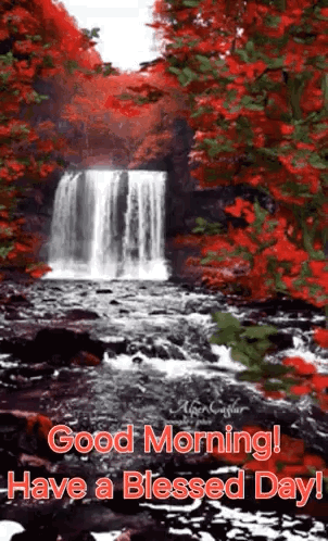 Good Morning Morning Quotes GIF