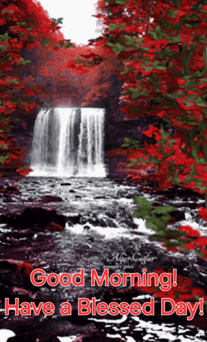 Good Morning Morning Quotes GIF