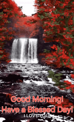 Good Morning Morning Quotes GIF