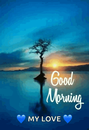 Good Morning Morning GIF