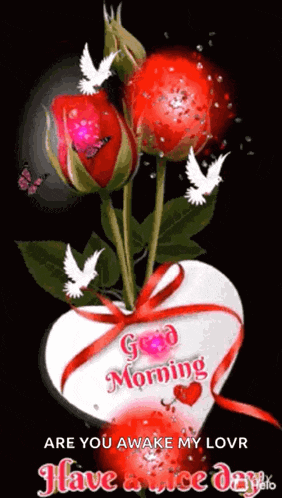 Good Morning GIF