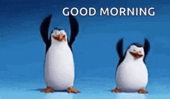 Good Morning GIF
