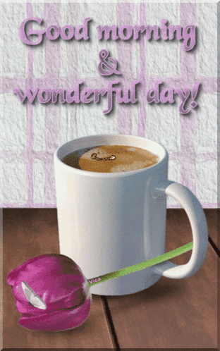 Good Morning GIF