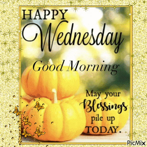 Good Morning GIF