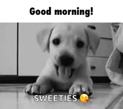 Good Morning GIF
