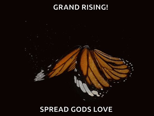 Good Morning GIF