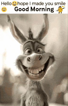 Good Morning Put A Smile On Your Face GIF