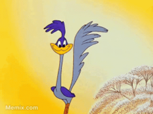 Good Morning GIF