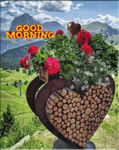 Good Morning GIF