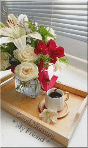 Good Morning GIF