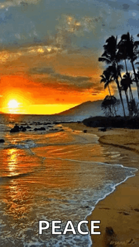 Good Morning GIF