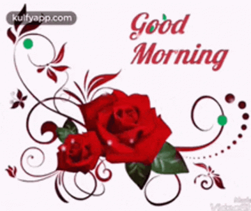 Good Morning Rollygifs GIF
