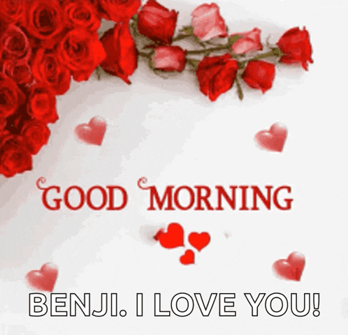 Good Morning Rollygifs GIF