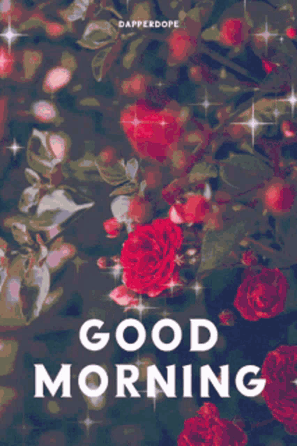 Good Morning Rollygifs GIF