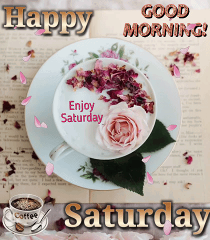 Good Morning Saturday GIF