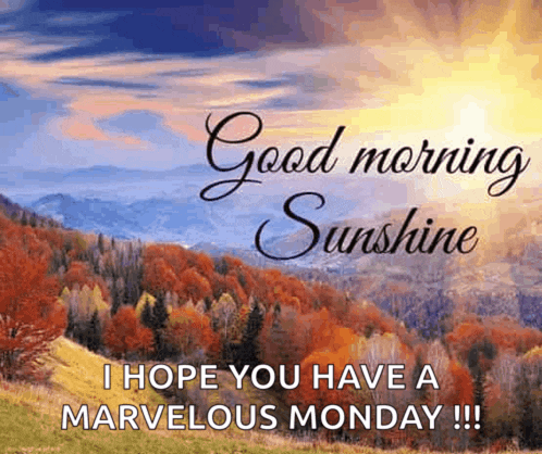 Good Morning Sunshine Meme