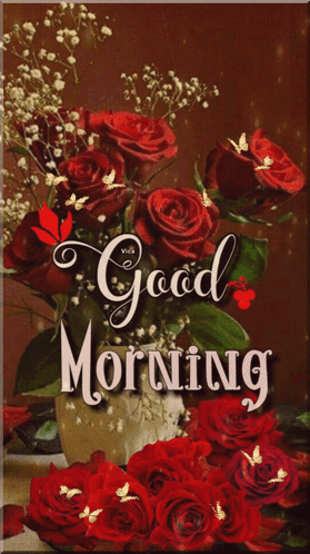 Good Morning GIF