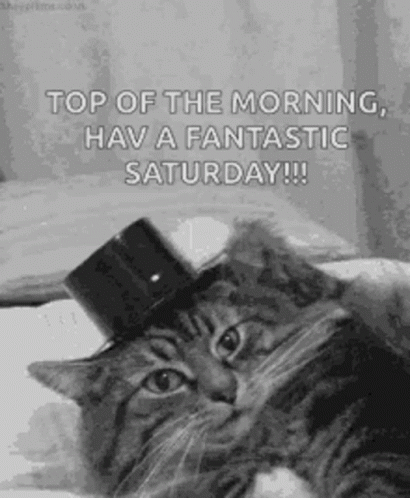 Good Morning Top Of The Morning GIF