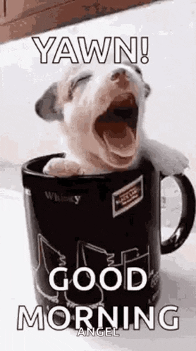Good Morning GIF