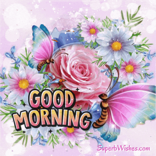 Good Morning GIF