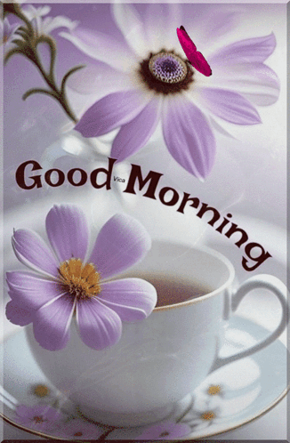 Good Morning GIF