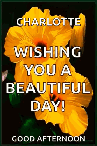Good Morning GIF