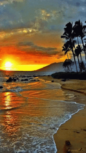 Good Morning GIF