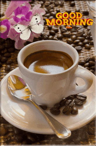 Good Morning GIF