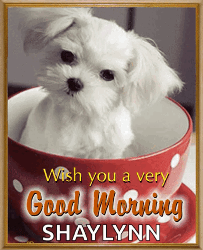 Good Morning GIF