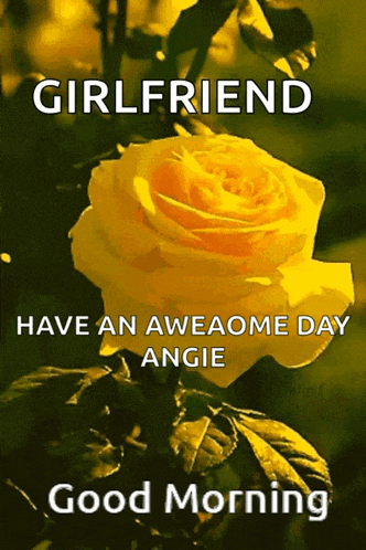 Good Morning GIF