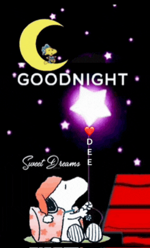 Good Night 2024 Meme