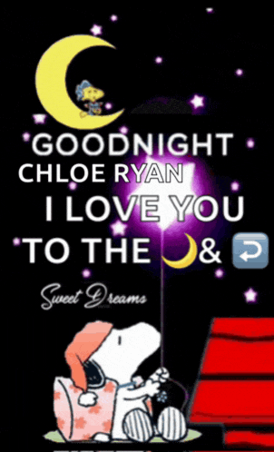 Good Night 2024 Meme