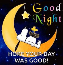 Good Night GIF