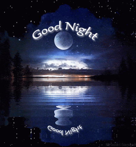 Good Night GIF