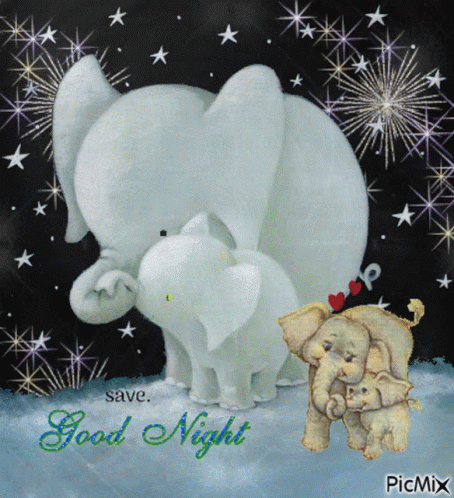 Good Night Elephant GIF