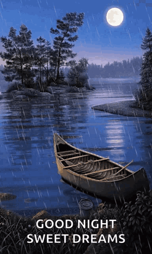 Good Night GIF